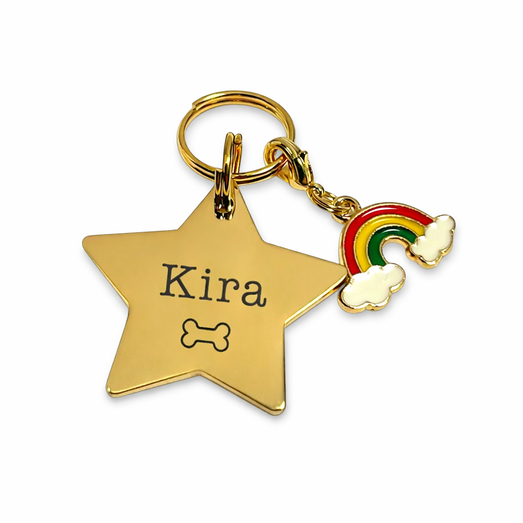 Plaquita de Mascota + Charm