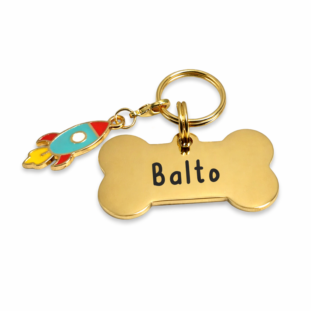 Plaquita de Mascota + Charm