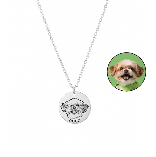 Collar Medalla Plateado