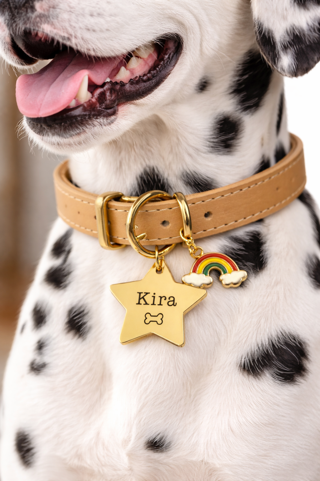 Plaquita de Mascota + Charm