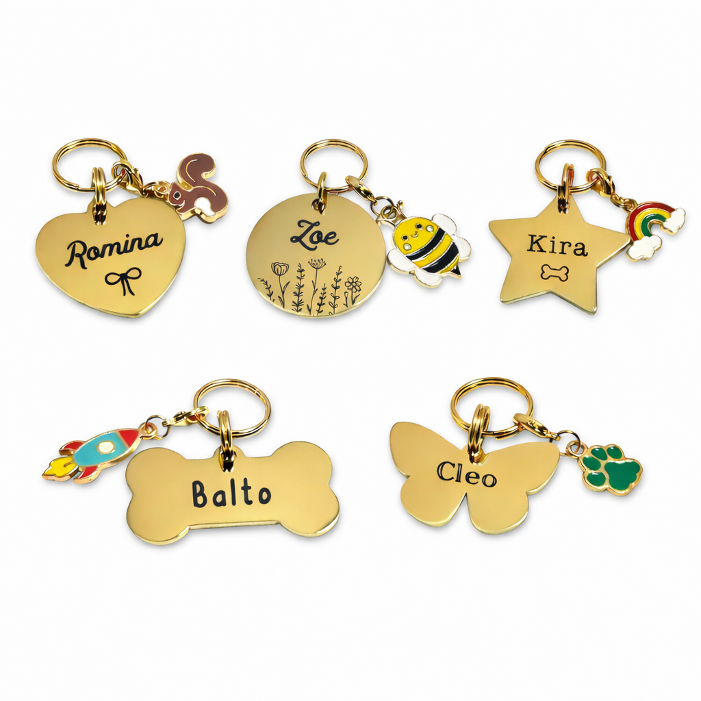 Plaquita de Mascota + Charm